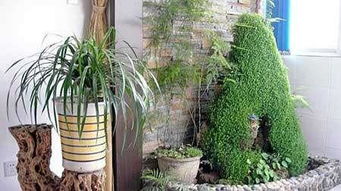 种菜平台会否对周边邻居风水产生不良影响？