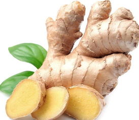 一、 相克食物的辨析：从阴阳五行论的角度解读