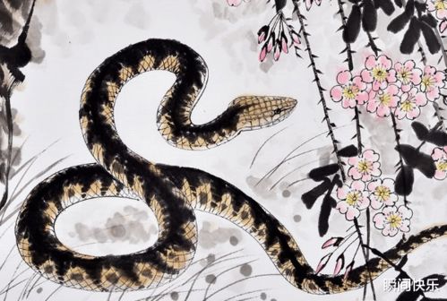 1977年属蛇男性2026年运势和全年运程具体详解是怎样的？