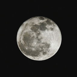 历法标准的考量：农历初一与朔日的定义