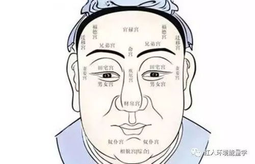 面相和五行关系对婚姻影响大吗？从哪里可以看出面相对婚姻的影响？