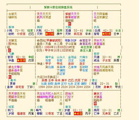 1.2 童子命的类别划分