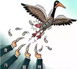 雁过拔毛是什么生肖？这个成语的完整说法及其含义是什么？