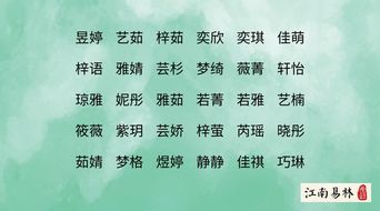 二、 起名原则与技巧