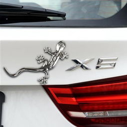 二、 车尾贴壁虎的寓意解读：谐音与象征的双重维度