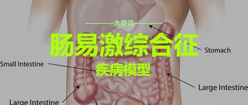 2.2 肠易激综合征(IBS) 与果糖不耐受