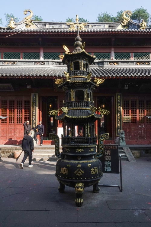 方岩胡公庙第六十三签文是什么意思？