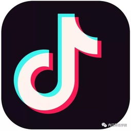 噪音警告：惯与“文艺”这件事