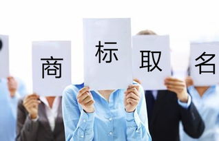 新潮手艺助力个性化起名