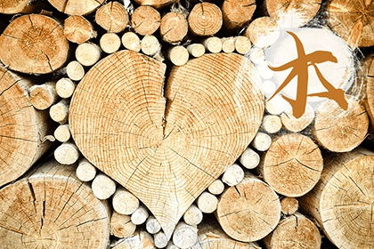 （一） 传统五行相克理论下的婚配观