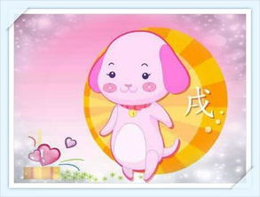 属狗宝宝戌时出生的男孩命理中缺什么，如何改运分析吉凶？