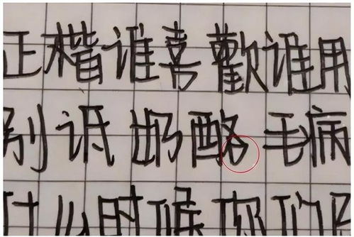 为什么要关注五行？
