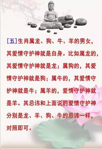 （二）属龙男性：凭借自信光辉与资源共享构建高质量人际网络