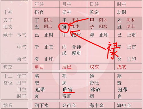 八字中禄指的是什么？印又代表哪些方面？