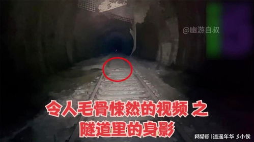 二、 文化底蕴传承与恐慌记忆：祖辈经验的口述传统方式