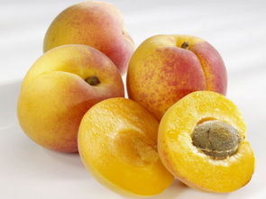 梦见杏子是什么预兆？周公解梦嫩告诉我具体含义吗？