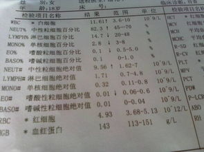 五行生克在医疗择日中的应用