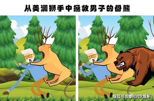 为何在某些情境下人的生命价值似乎低于动物，导致人类生命显得更为脆弱？