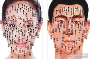 (2) 光泽度与立体感