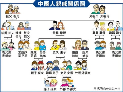 其他宫位及星曜影响概述