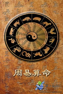 上海周易奇门研究中心提供奇门周易起名算命服务，哪家最专业？