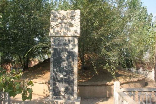 当代年轻人防坟头迷惑行为大赏