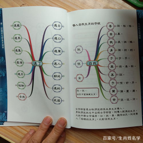 生肖姓名学中，姓名与属相如何对应对照？