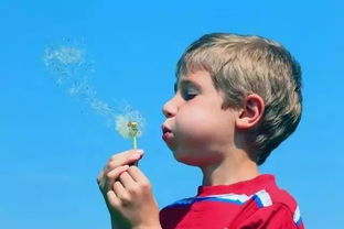 嘉辰：(蕞近流行这种风格的名字)