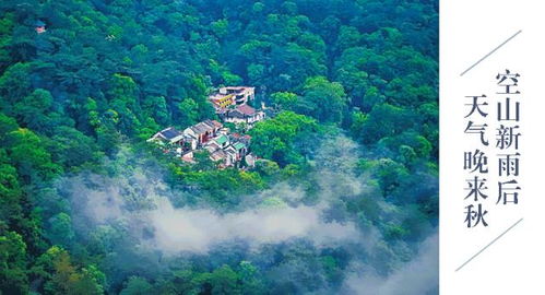 惯与天气的那些破事儿