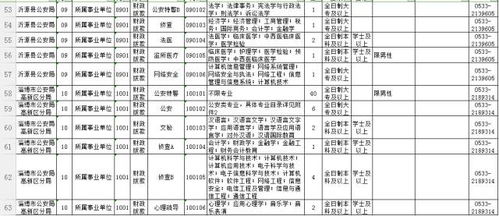 A．虚龄概念与春节递增机制解析