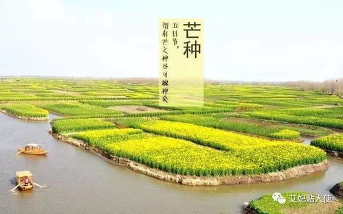 2.1 节气时间段性与存在主义哲学思想关联解析