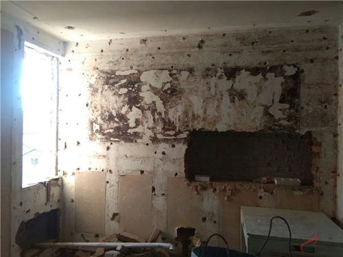 2026年1月4号适合作为2026年12月拆墙动工的日期吗？