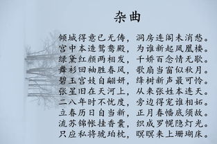 救命！这个字到底怎么读？！