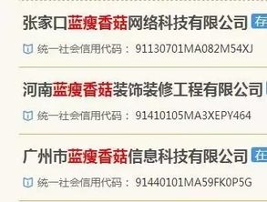二、 名称突出企业特色：以行业属性为核心