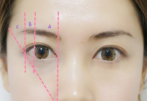 眉形与智慧、 运势之间的关联分析