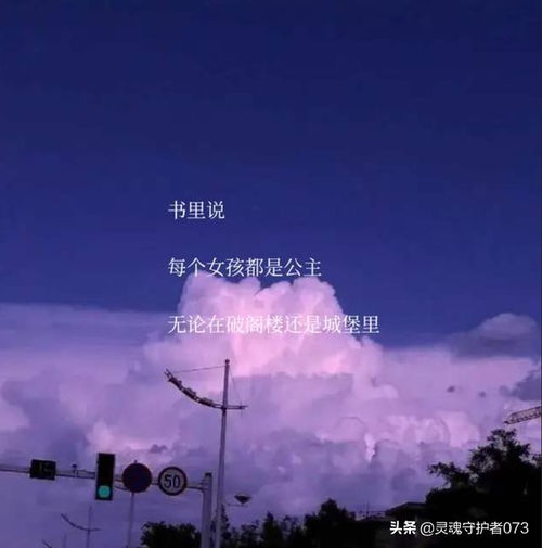 在这个喧嚣的世界里寻找那一抹不存在的清冷