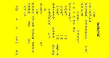 九、 排他性参数分析为何生肖不足以定局