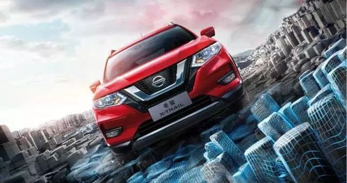 综合决策模型与实务建议