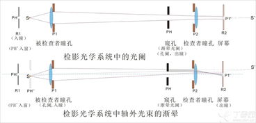 三、 光学原理与镜像形成机制之名词化阐述