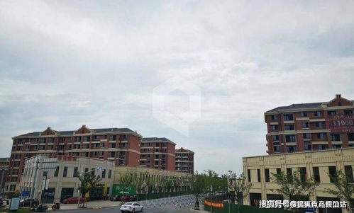 名字的构成
