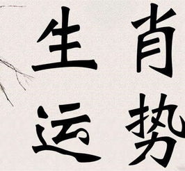 基于星命学与时空论的今日生肖运势较深度解析