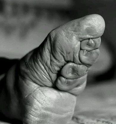 三寸金莲指的是哪个生肖，这个传统说法的生肖是什么？