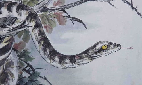 蛇蛇人的爱情大劫难！这几个年龄点要小心！