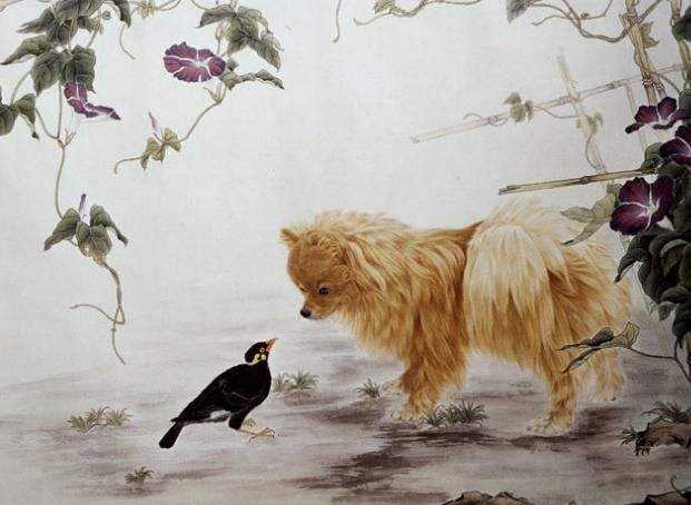 属狗的人与哪个属相蕞合财，财运蕞佳？