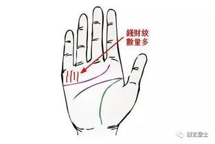 看手相时说吉祥话需要给手相开光吗？