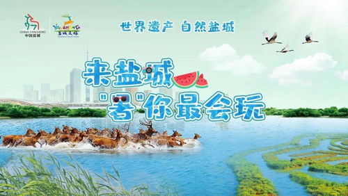 康旅生态游：一场说走就走的“伪养生”之旅