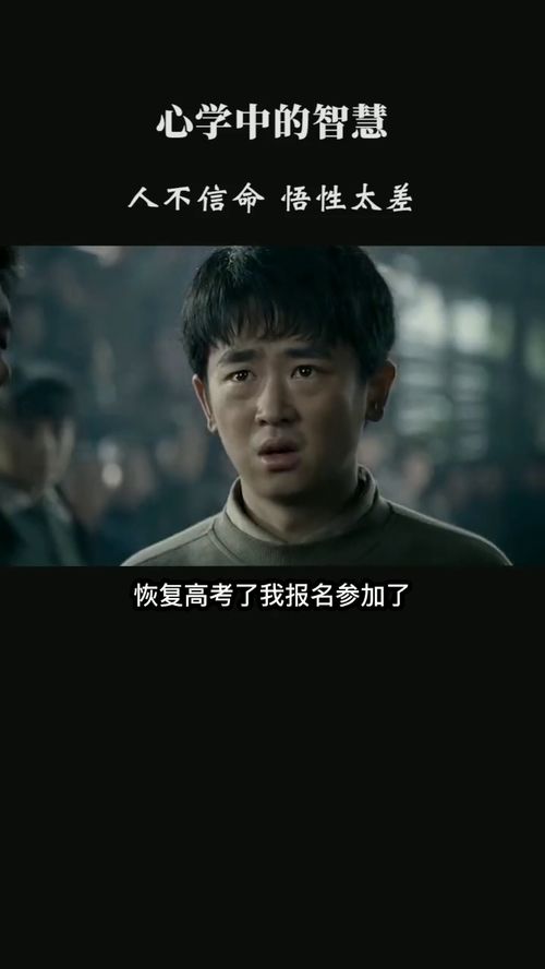 三沉重“命”概念的层次划分