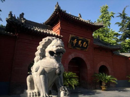 广州市佛教寺院禅修资源条件的分布现状与针对初学者参与路径的较深度学术报告