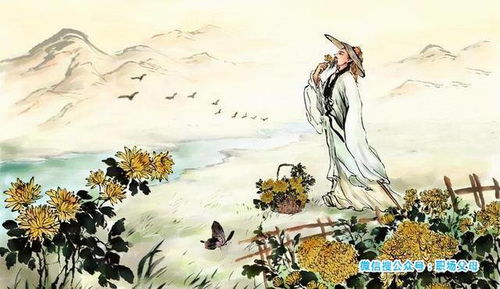 “诗”情画意的选择：从《诗经》中撷取