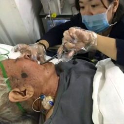 梦见动物的肠子：生活方式转变的预兆